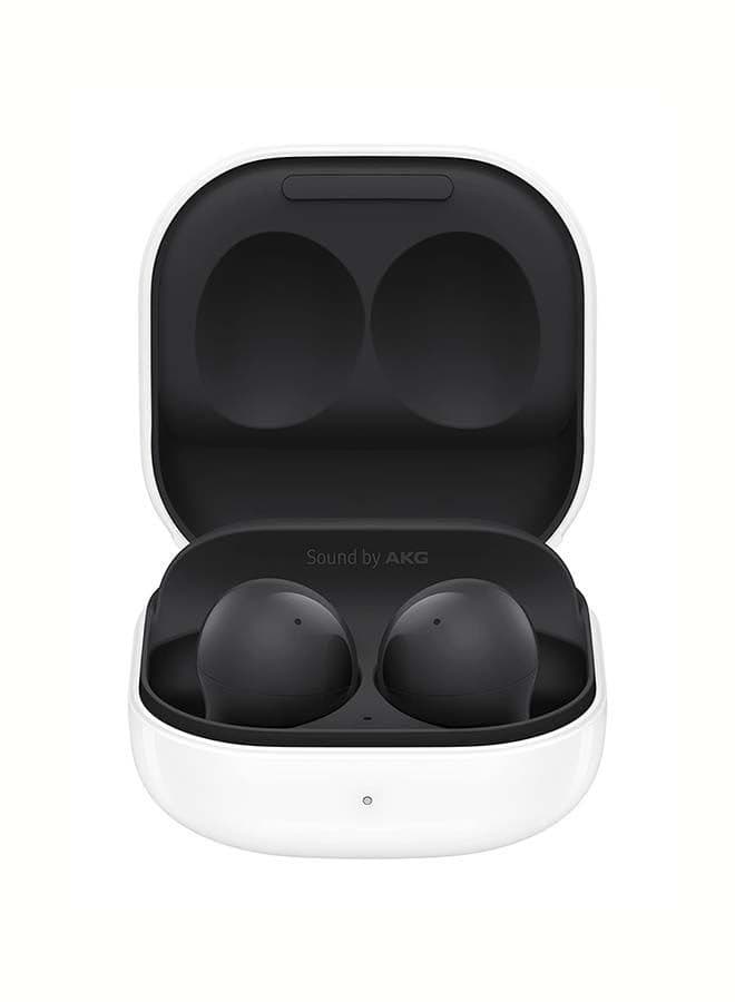 Galaxy Buds 2 Graphite